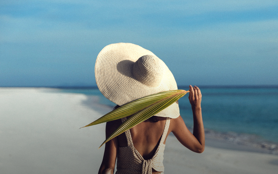 beach walk palm frond