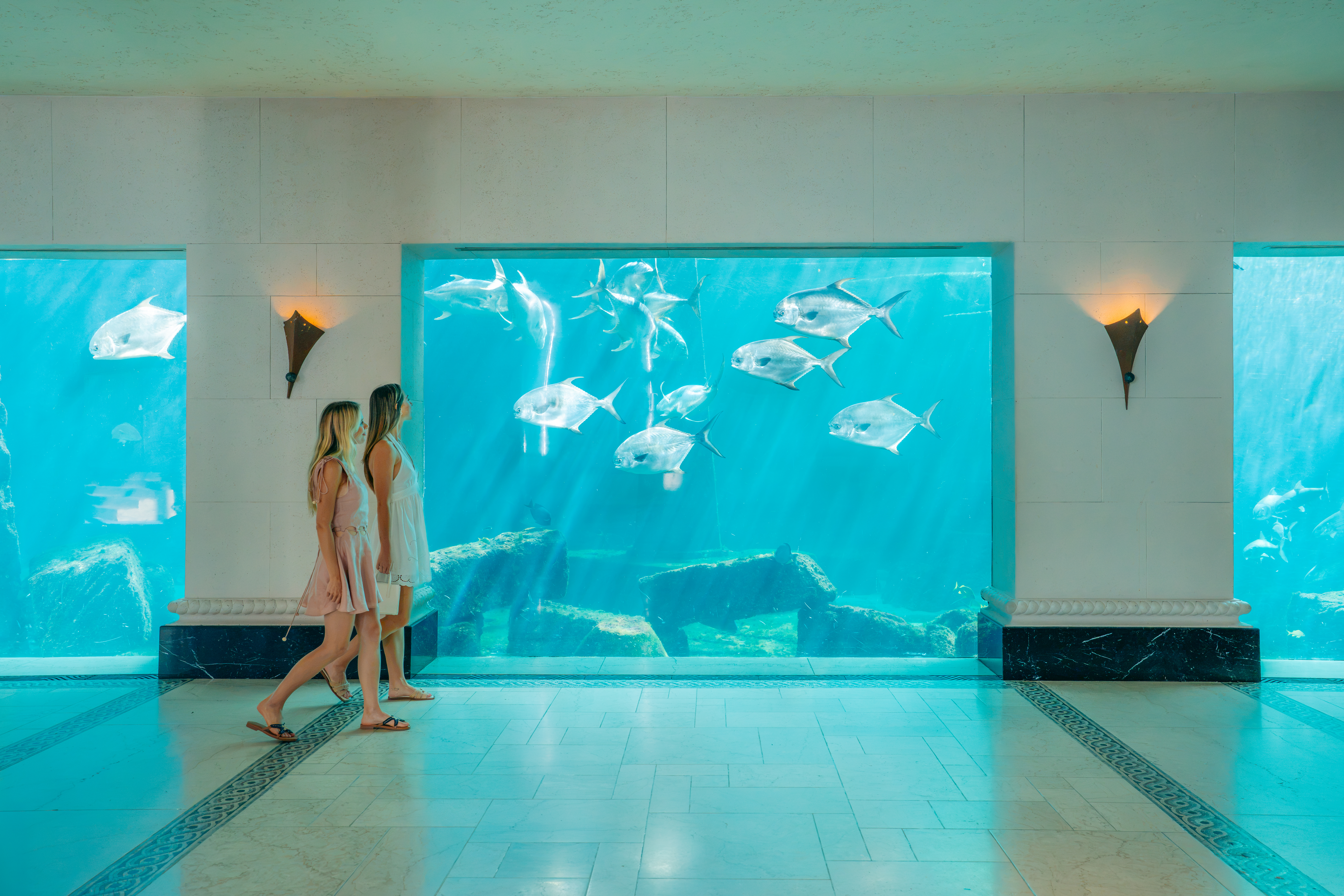 v4 dolphin cay accreditation